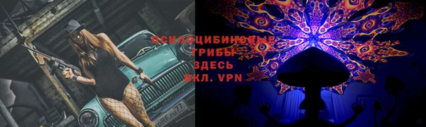 дурь Алексин