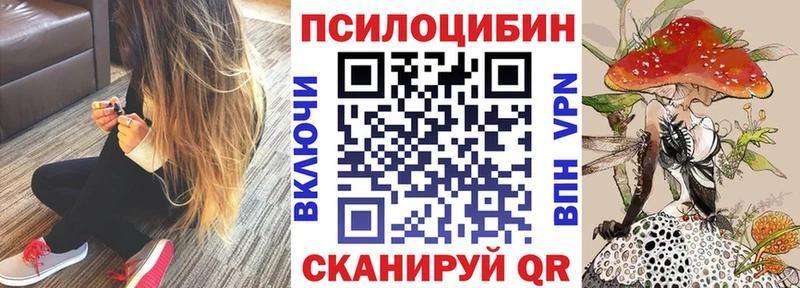 Галлюциногенные грибы Magic Shrooms  Дмитровск 